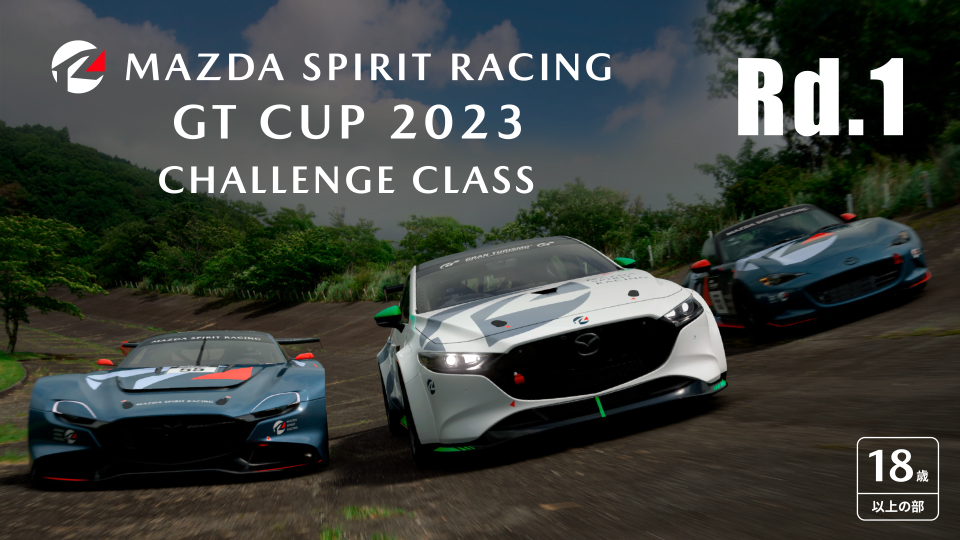 24 Heures du Mans Racing Circuit